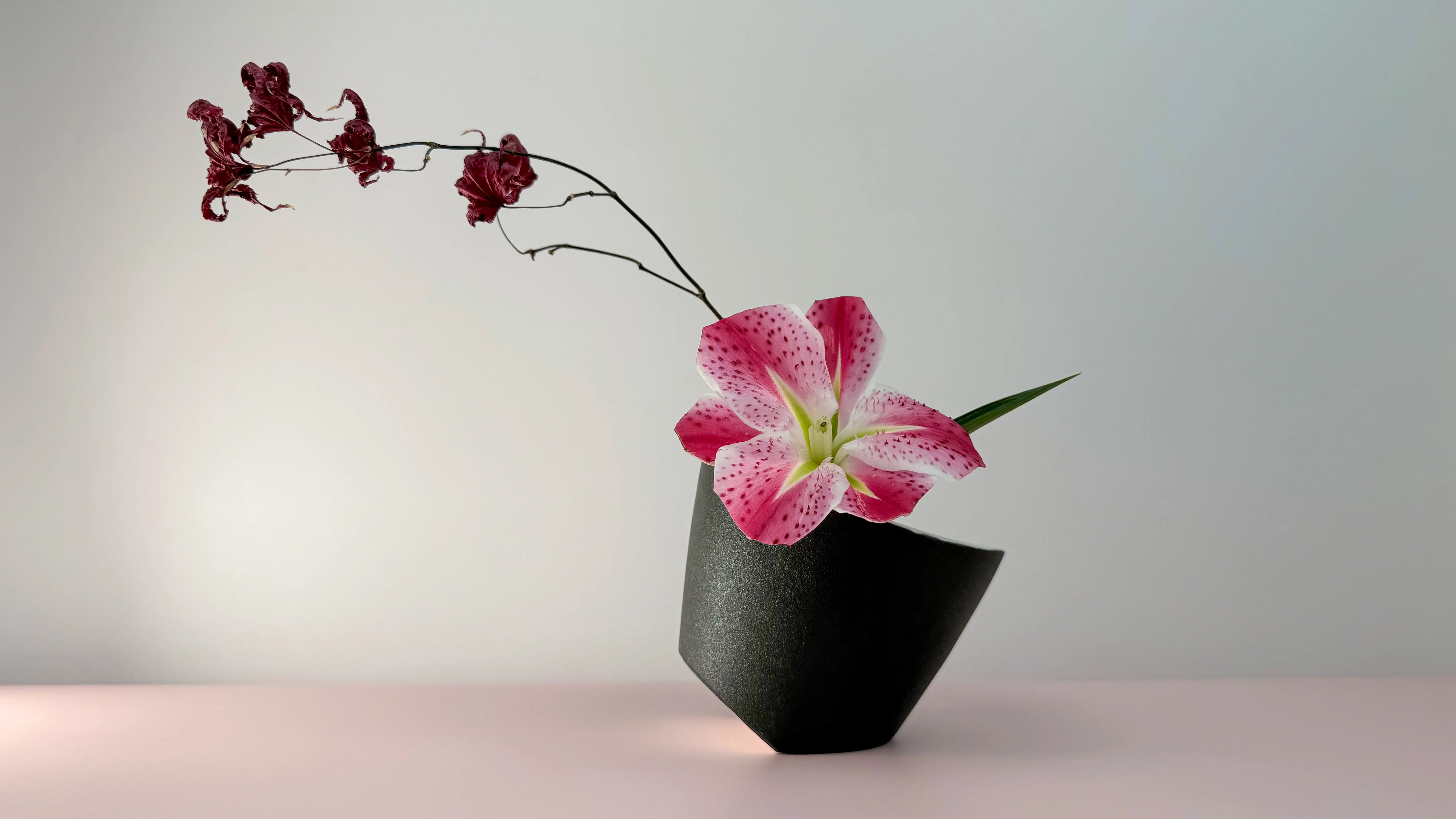 Minimal ikebana arrangement with a pink peony