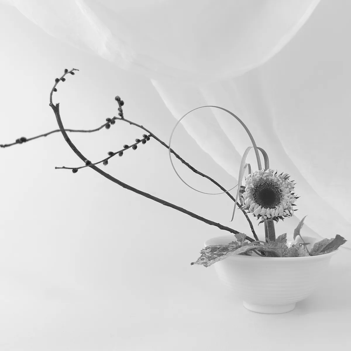 Silent Forms ikebana collection