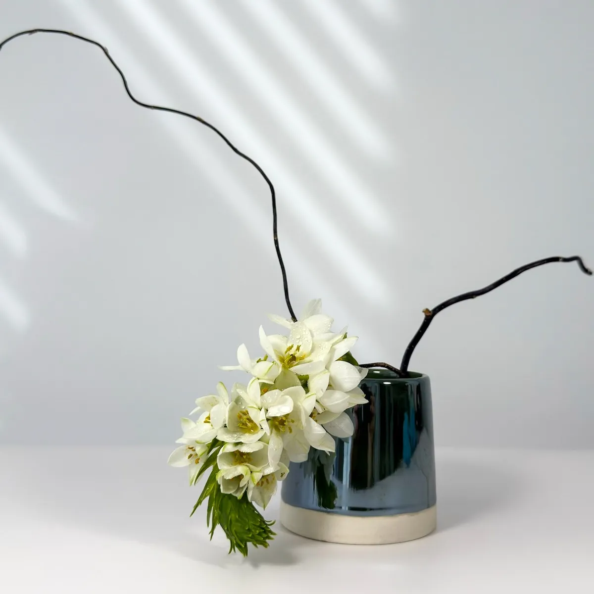 Winter ikebana collection
