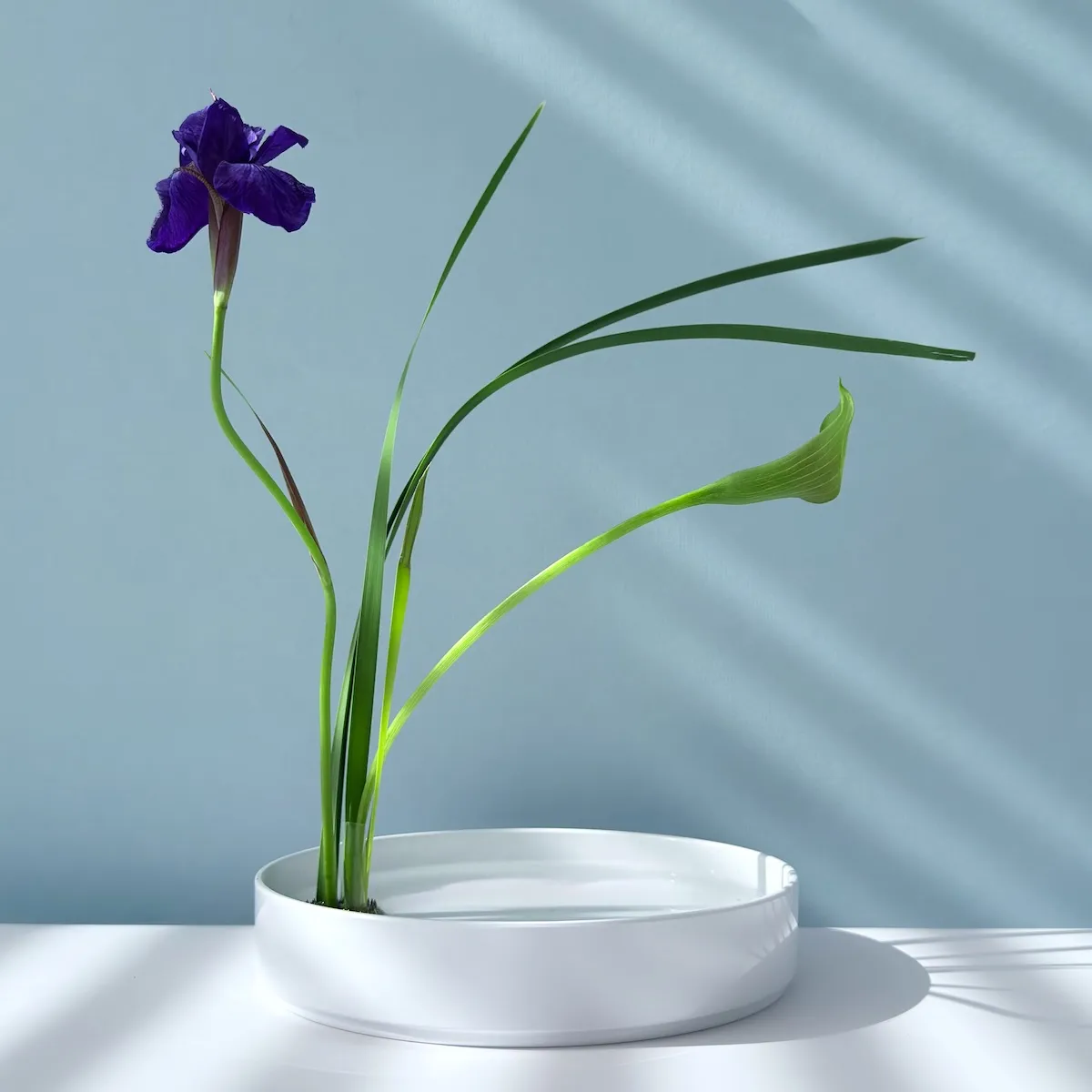Minimalist Zen ikebana arrangement